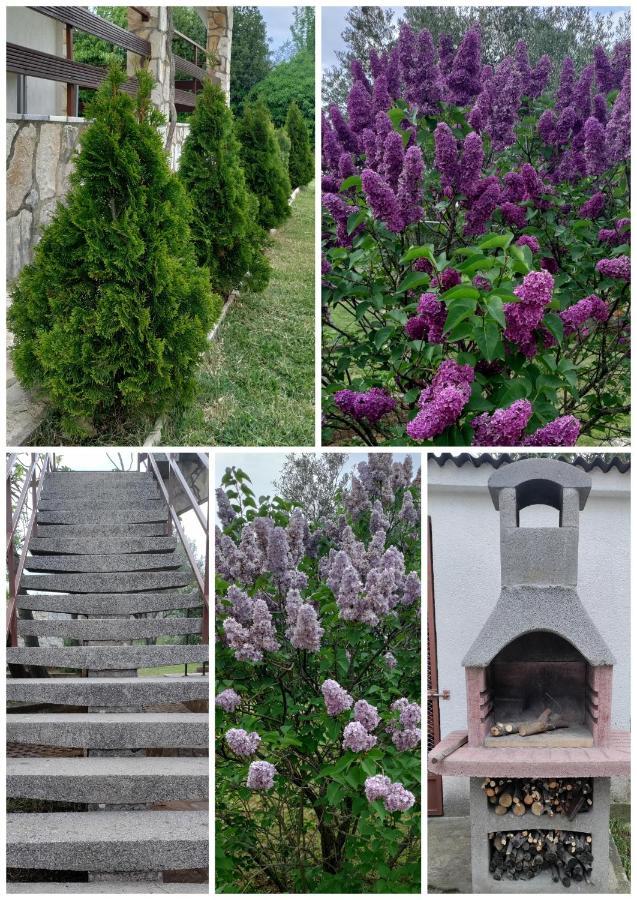 דירות Kornić House Elan מראה חיצוני תמונה